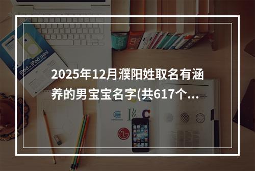2025年12月濮阳姓取名有涵养的男宝宝名字(共617个)