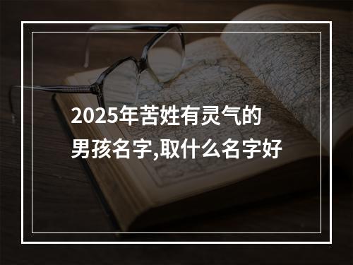 2025年苦姓有灵气的男孩名字,取什么名字好