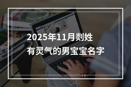 2025年11月剡姓有灵气的男宝宝名字