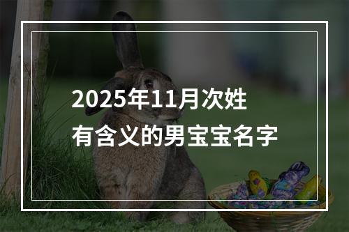 2025年11月次姓有含义的男宝宝名字
