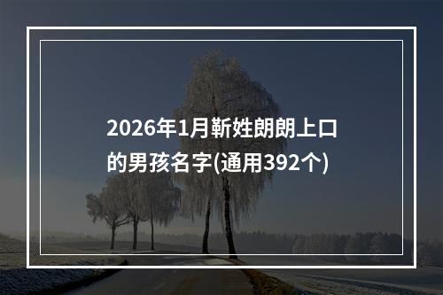 2026年1月靳姓朗朗上口的男孩名字(通用392个)