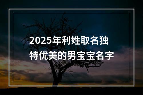 2025年利姓取名独特优美的男宝宝名字