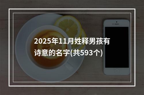 2025年11月姓释男孩有诗意的名字(共593个)
