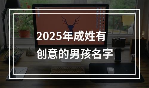 2025年成姓有创意的男孩名字