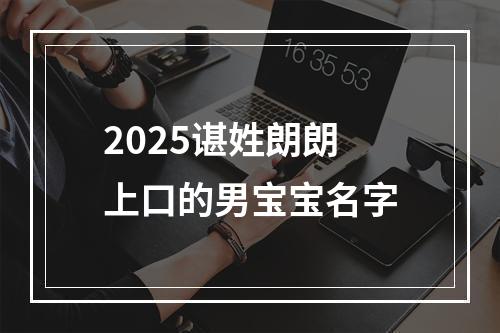 2025谌姓朗朗上口的男宝宝名字