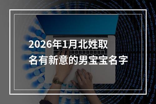 2026年1月北姓取名有新意的男宝宝名字