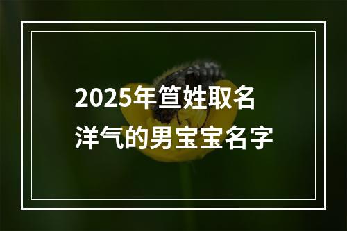 2025年笪姓取名洋气的男宝宝名字