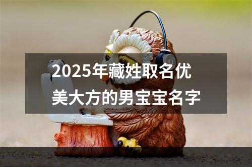 2025年藏姓取名优美大方的男宝宝名字