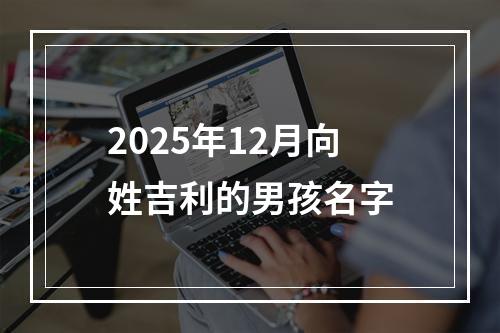 2025年12月向姓吉利的男孩名字