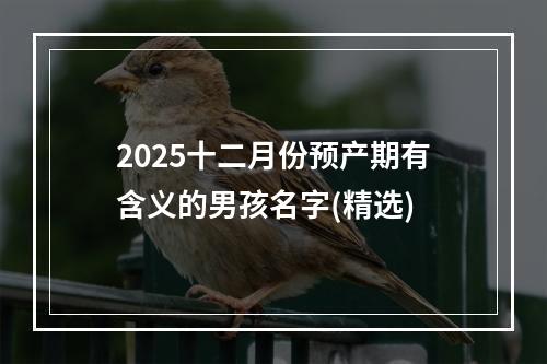 2025十二月份预产期有含义的男孩名字(精选)