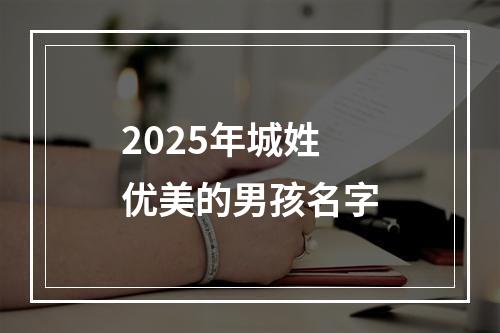 2025年城姓优美的男孩名字