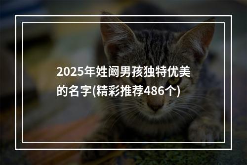 2025年姓阚男孩独特优美的名字(精彩推荐486个)