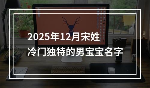 2025年12月宋姓冷门独特的男宝宝名字
