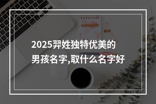 2025羿姓独特优美的男孩名字,取什么名字好