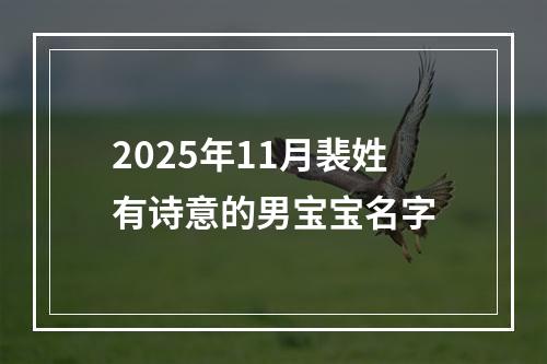 2025年11月裴姓有诗意的男宝宝名字