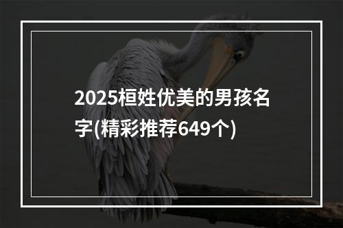 2025桓姓优美的男孩名字(精彩推荐649个)