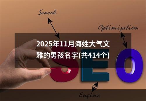 2025年11月海姓大气文雅的男孩名字(共414个)
