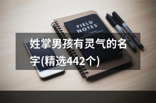 姓掌男孩有灵气的名字(精选442个)