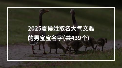 2025夏侯姓取名大气文雅的男宝宝名字(共439个)