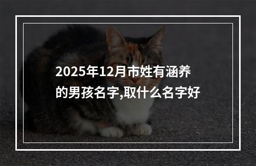 2025年12月市姓有涵养的男孩名字,取什么名字好