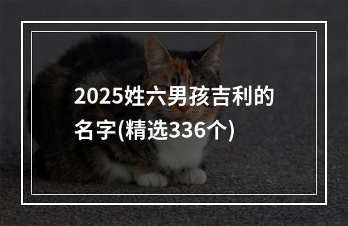 2025姓六男孩吉利的名字(精选336个)
