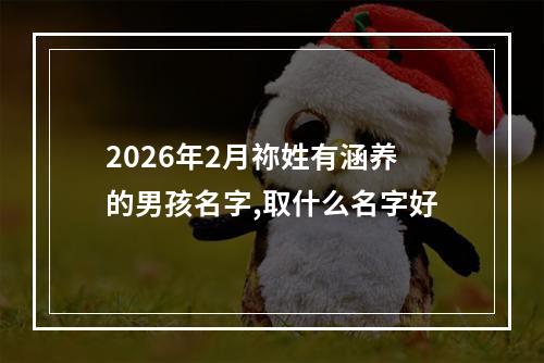 2026年2月祢姓有涵养的男孩名字,取什么名字好