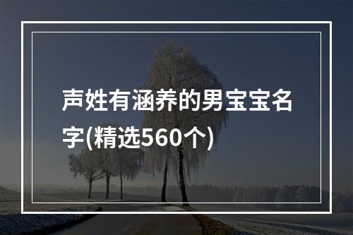 声姓有涵养的男宝宝名字(精选560个)