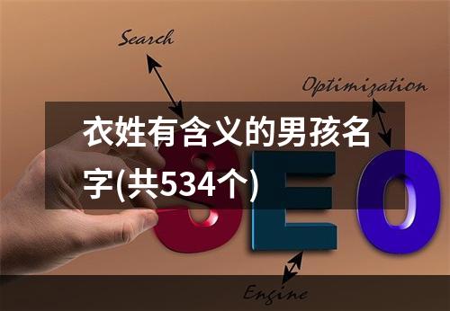 衣姓有含义的男孩名字(共534个)
