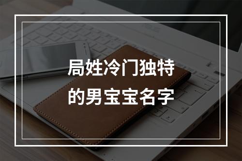 局姓冷门独特的男宝宝名字