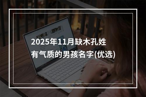 2025年11月缺木孔姓有气质的男孩名字(优选)