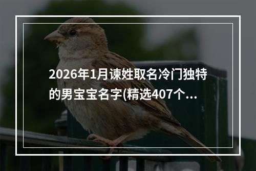 2026年1月谏姓取名冷门独特的男宝宝名字(精选407个)