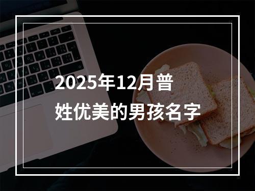 2025年12月普姓优美的男孩名字