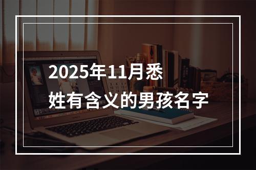2025年11月悉姓有含义的男孩名字