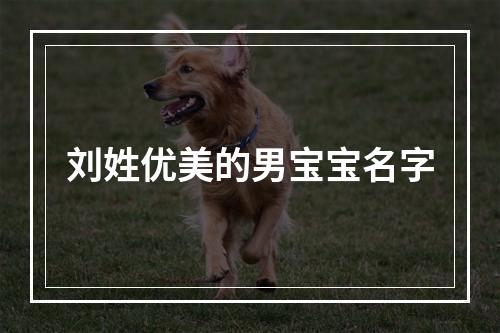 刘姓优美的男宝宝名字