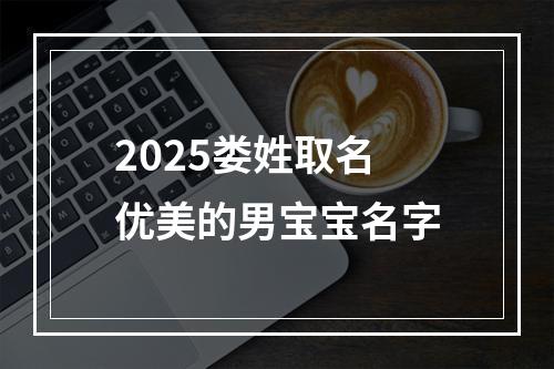 2025娄姓取名优美的男宝宝名字