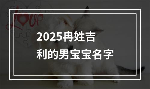 2025冉姓吉利的男宝宝名字
