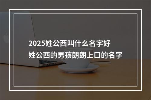 2025姓公西叫什么名字好 姓公西的男孩朗朗上口的名字