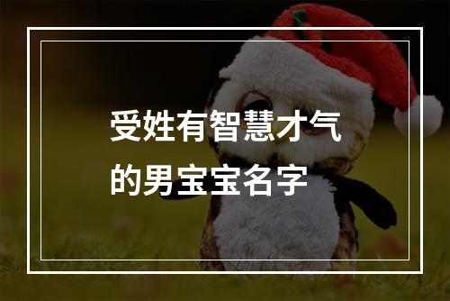 受姓有智慧才气的男宝宝名字