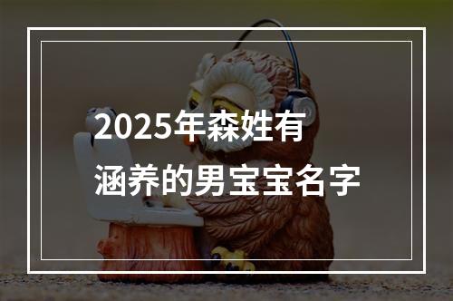 2025年森姓有涵养的男宝宝名字