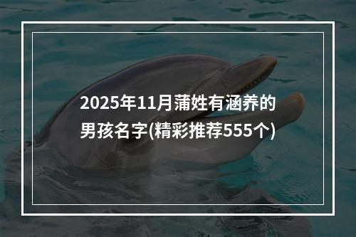 2025年11月蒲姓有涵养的男孩名字(精彩推荐555个)