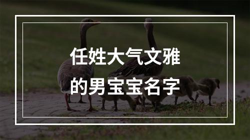 任姓大气文雅的男宝宝名字
