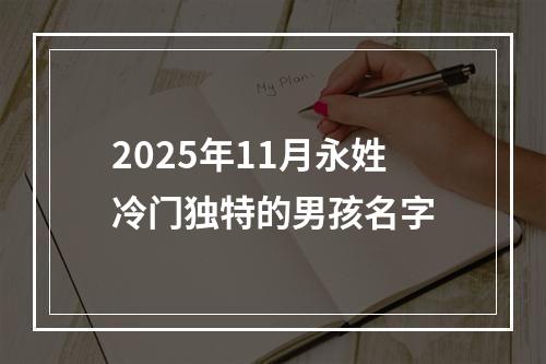 2025年11月永姓冷门独特的男孩名字