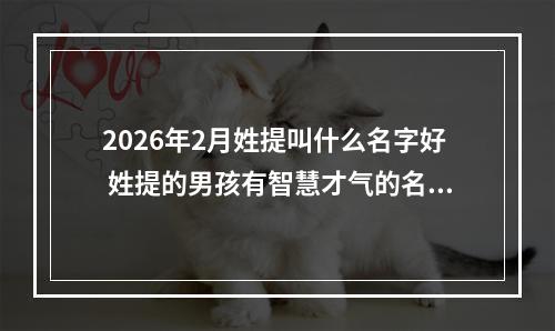 2026年2月姓提叫什么名字好 姓提的男孩有智慧才气的名字