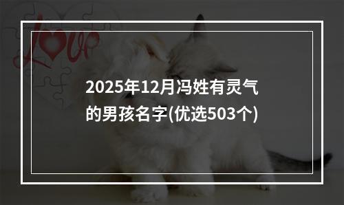 2025年12月冯姓有灵气的男孩名字(优选503个)