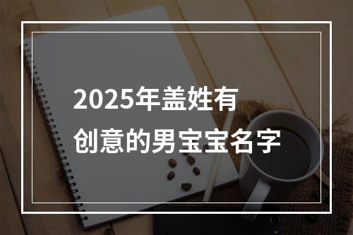 2025年盖姓有创意的男宝宝名字