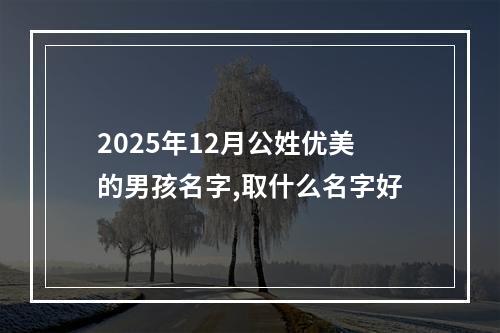 2025年12月公姓优美的男孩名字,取什么名字好