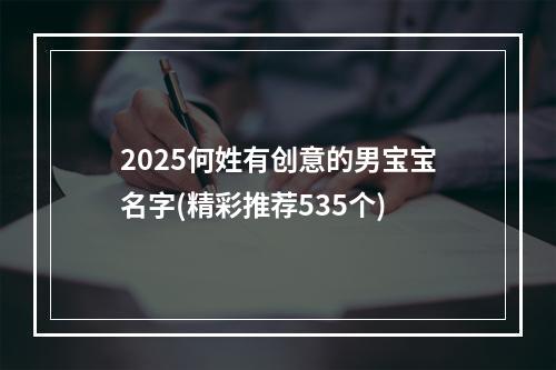 2025何姓有创意的男宝宝名字(精彩推荐535个)