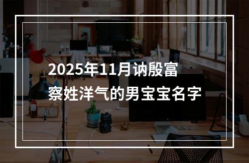 2025年11月讷殷富察姓洋气的男宝宝名字