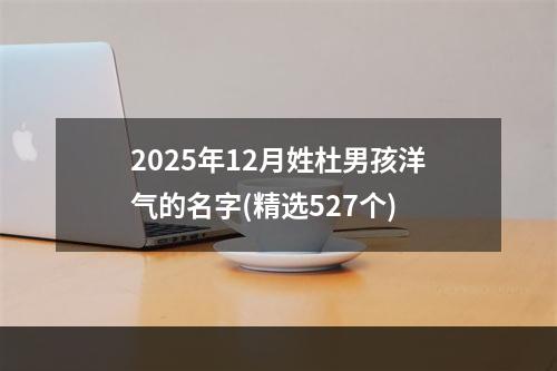 2025年12月姓杜男孩洋气的名字(精选527个)