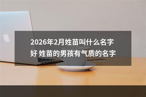 2026年2月姓苗叫什么名字好 姓苗的男孩有气质的名字